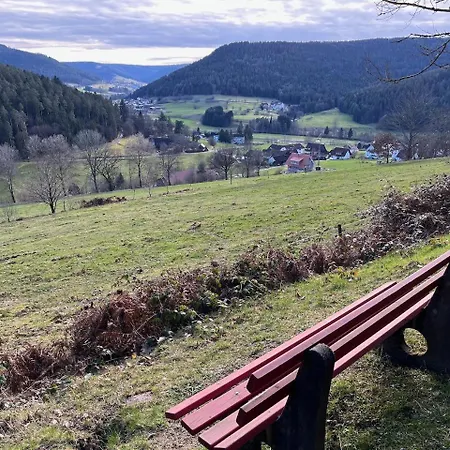 Greve Tatil Evi Baiersbronn